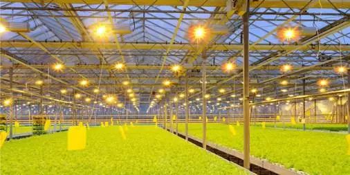 我國農業科技創新專利數量領先，為何技術落地如此艱難